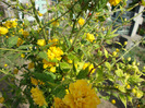 DSC02707