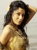 Indian Model Shamin Latest Photo Shoot