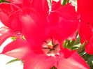 DSCN0970