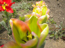 DSCN0972