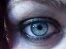 Ochi albastru-bleo