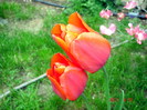 DSC00001
