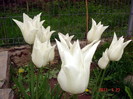 DSC00005