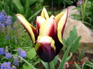 DSC00006
