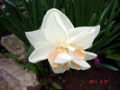 DSC00010
