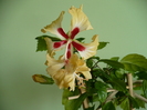 P1330533