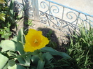 DSC00895