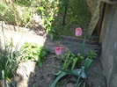 DSC00839