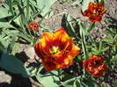 DSC00834