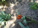 DSC00838