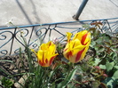 DSC00889