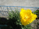 DSC00894