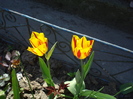 DSC00940