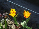 DSC00941