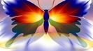 COLORFUL-BUTTERFLY