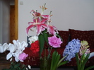 DSC00366