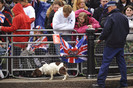 Royal+Wedding+Carriage+Procession+Buckingham+NoqsAQ6Al7il