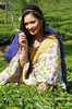 Sara Khan62