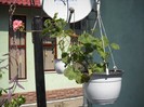 DSCN4889