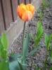 DSCN5089
