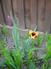 DSCN5093