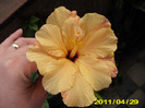 Picture 013