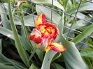 DSCF6486