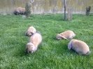 Image0150