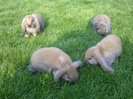 Image0152