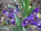 P1060698