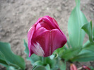 P1060706