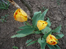 P1060708