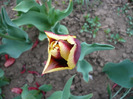 P1060710