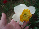 P1060714