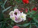 P1060715