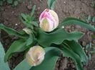 P1060728