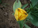 P1060729