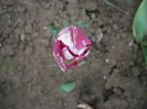 P1060730