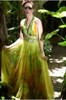 fancy-world-evening-dresses-halter-picture-color-chiffon-a-line56338[1]
