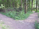 Picture 032
