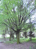 Picture 034