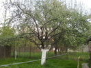 Picture 054