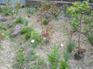 Picture 057