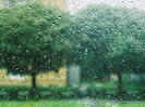 summer-rain