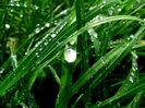 rain-drops_-non-wetting