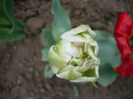 P1060735