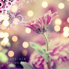 3-glitery_pl-EmooQu-4846[1]