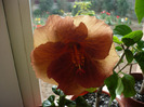 P1060760