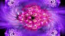 Full-Blossom