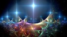 the_awakening